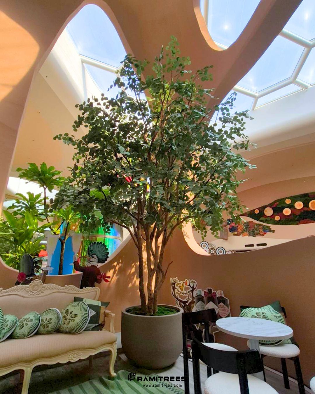 ยูคา Eucalyptus Tree (3)