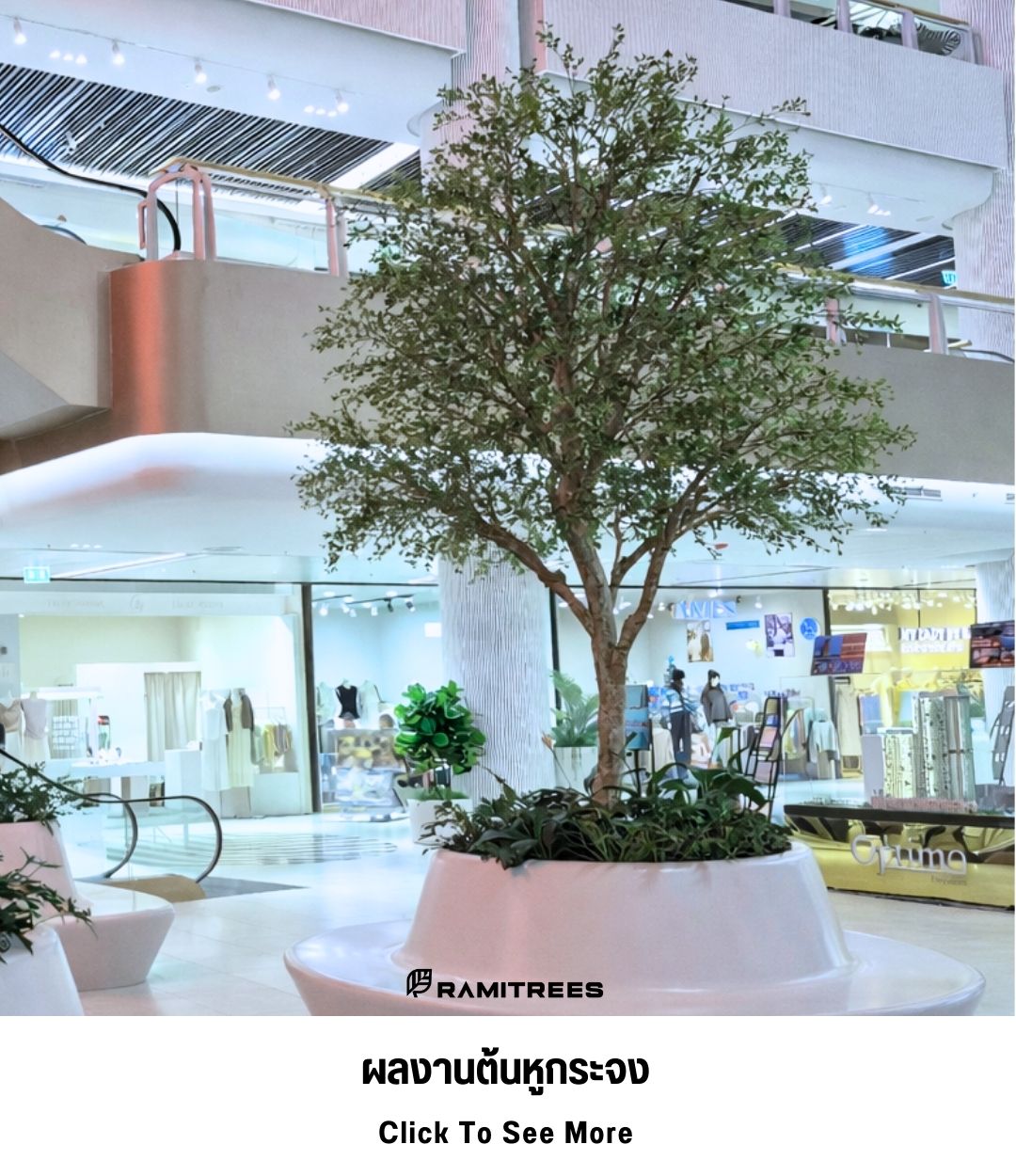 8ผลงานต้นหูกระจง