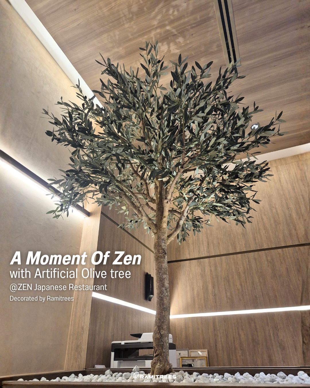 Artificial Olive Tree ต้นมะกอกโอลีฟประดิษฐ์ สั่งทำแบบ Customize 01