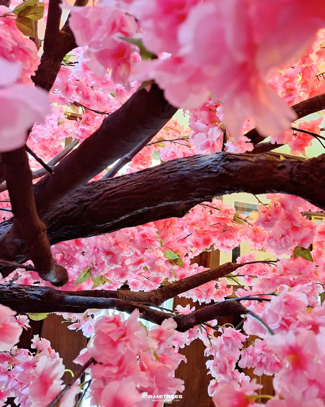 Artificial Sakura Tree ต้นซากุระประดิษฐ์ ลำต้นไฟเบอร์กลาส 03