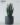 ต้นลิ้นมังกรปลอม เขียว Snake Plant สูง 80cm (RSN-002)