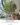 Indoor Landscape งานติดตั้งต้นไม้ประดิษฐ์