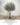 Premium Artificial Olive Tree