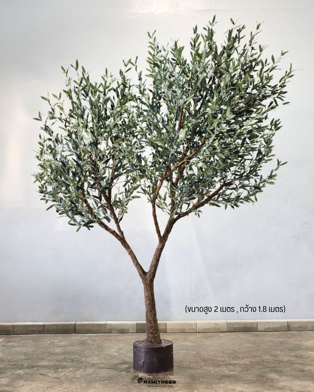ต้นมะกอกโอลีฟใบพรีเมียม ลำต้นไฟเบอร์กลาส Premium Artificial Olive Tree (2)