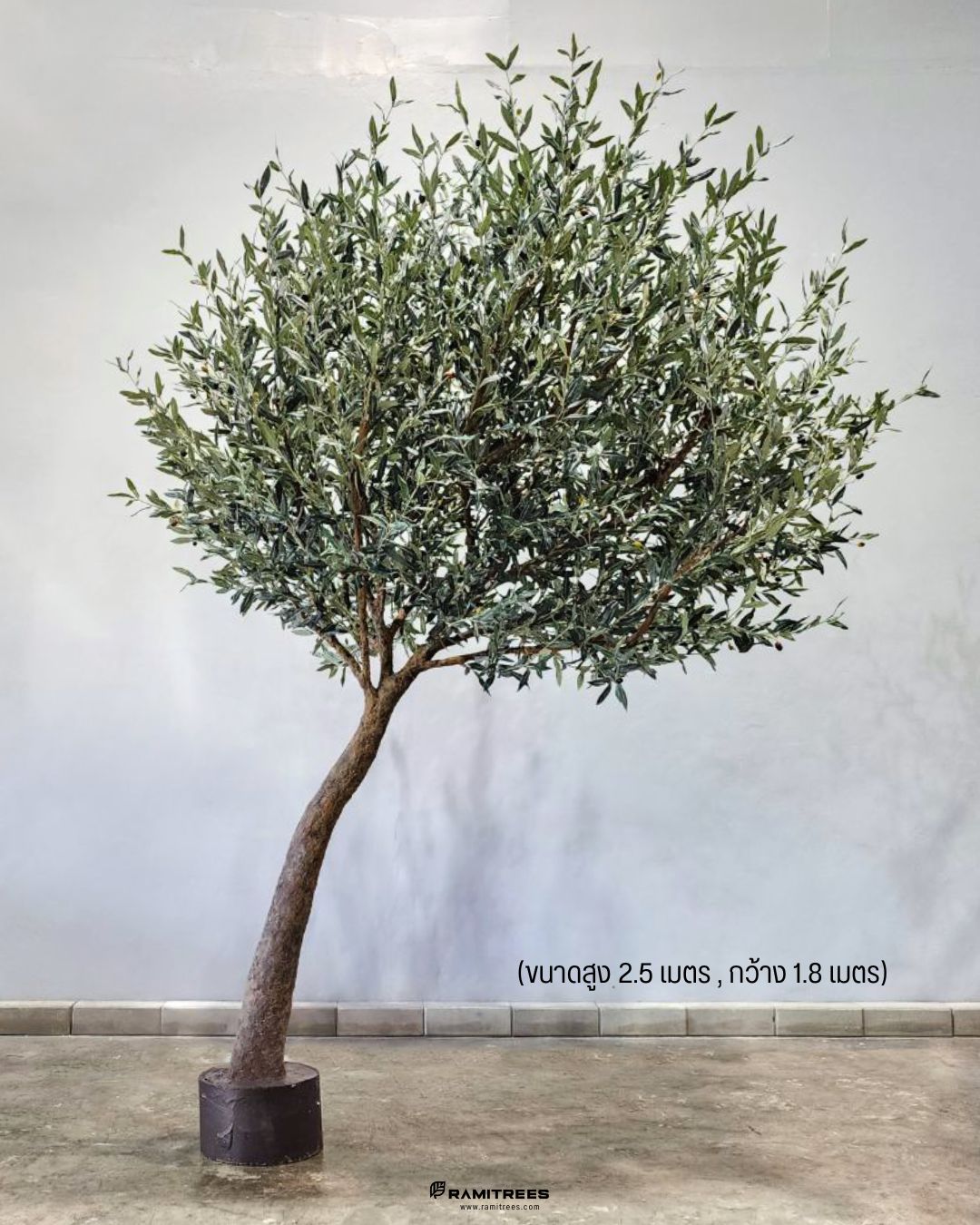 ต้นมะกอกโอลีฟใบพรีเมียม ลำต้นไฟเบอร์กลาส Premium Artificial Olive Tree (3)