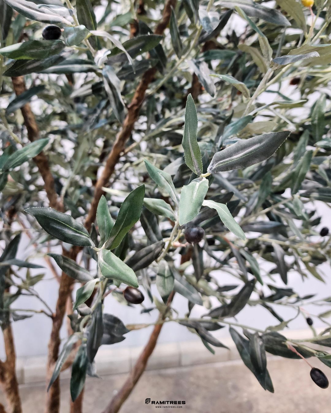 ต้นมะกอกโอลีฟใบพรีเมียม ลำต้นไฟเบอร์กลาส Premium Artificial Olive Tree (4)
