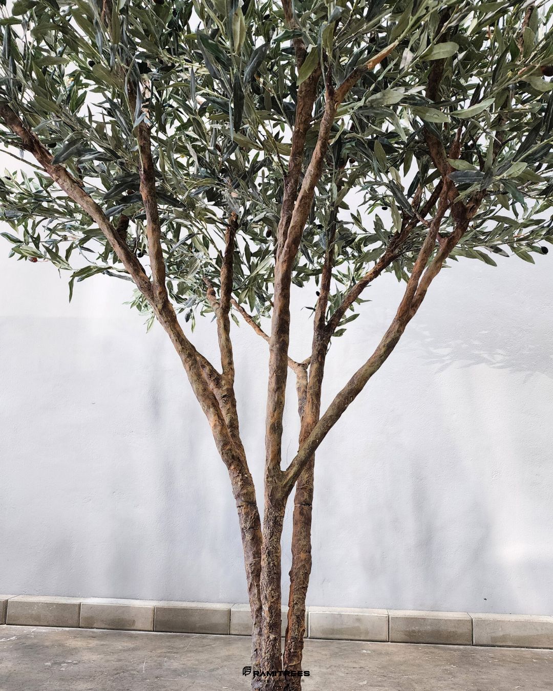 ต้นมะกอกโอลีฟใบพรีเมียม ลำต้นไฟเบอร์กลาส Premium Artificial Olive Tree (5)