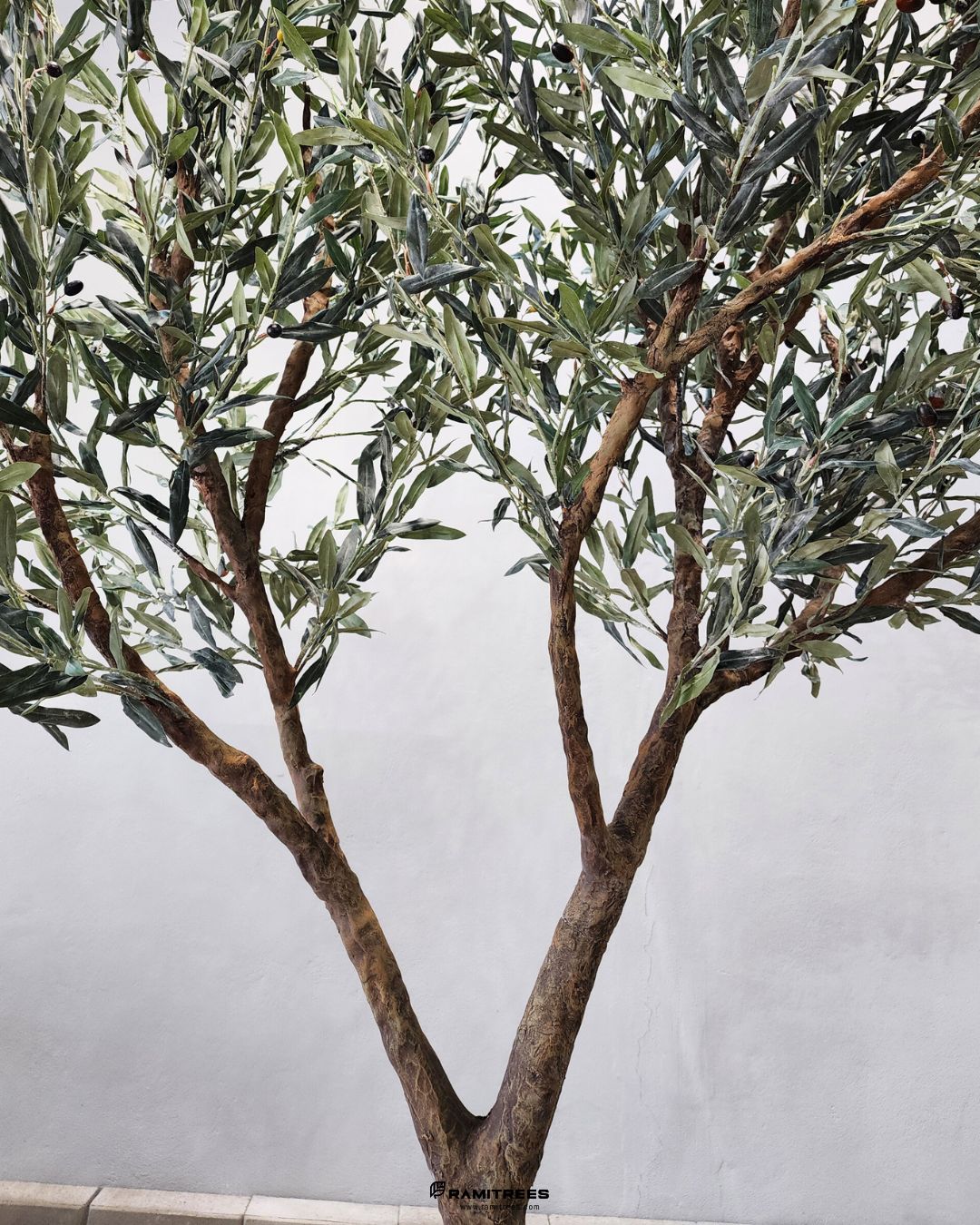ต้นมะกอกโอลีฟใบพรีเมียม ลำต้นไฟเบอร์กลาส Premium Artificial Olive Tree (6)