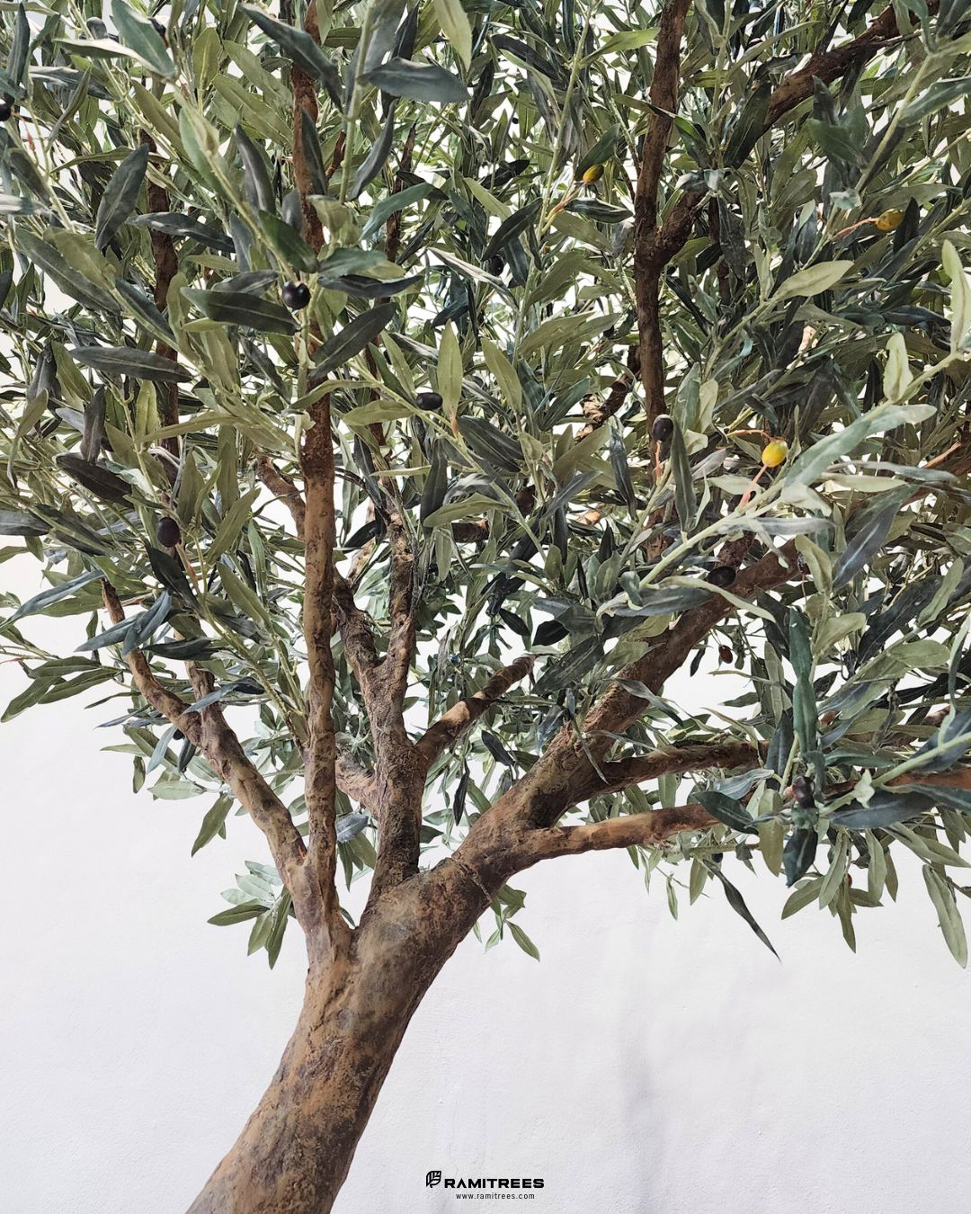 ต้นมะกอกโอลีฟใบพรีเมียม ลำต้นไฟเบอร์กลาส Premium Artificial Olive Tree (7)