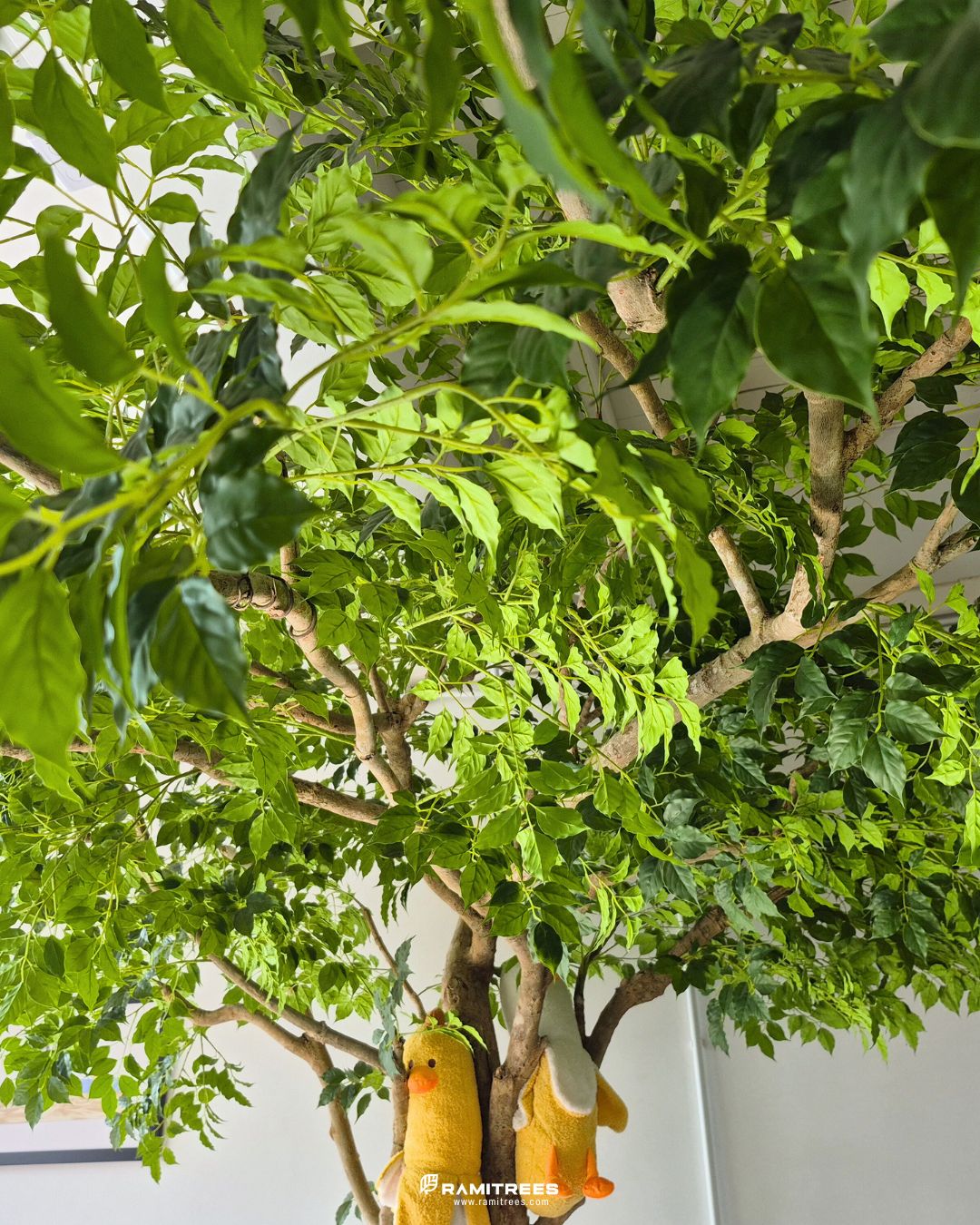 ต้นแคนาลีฟประดิษฐ์ ตกแต่งร้านคาเฟ่ Friends and Duck , Artificial Dolichandrone Serrulata Tree (6)