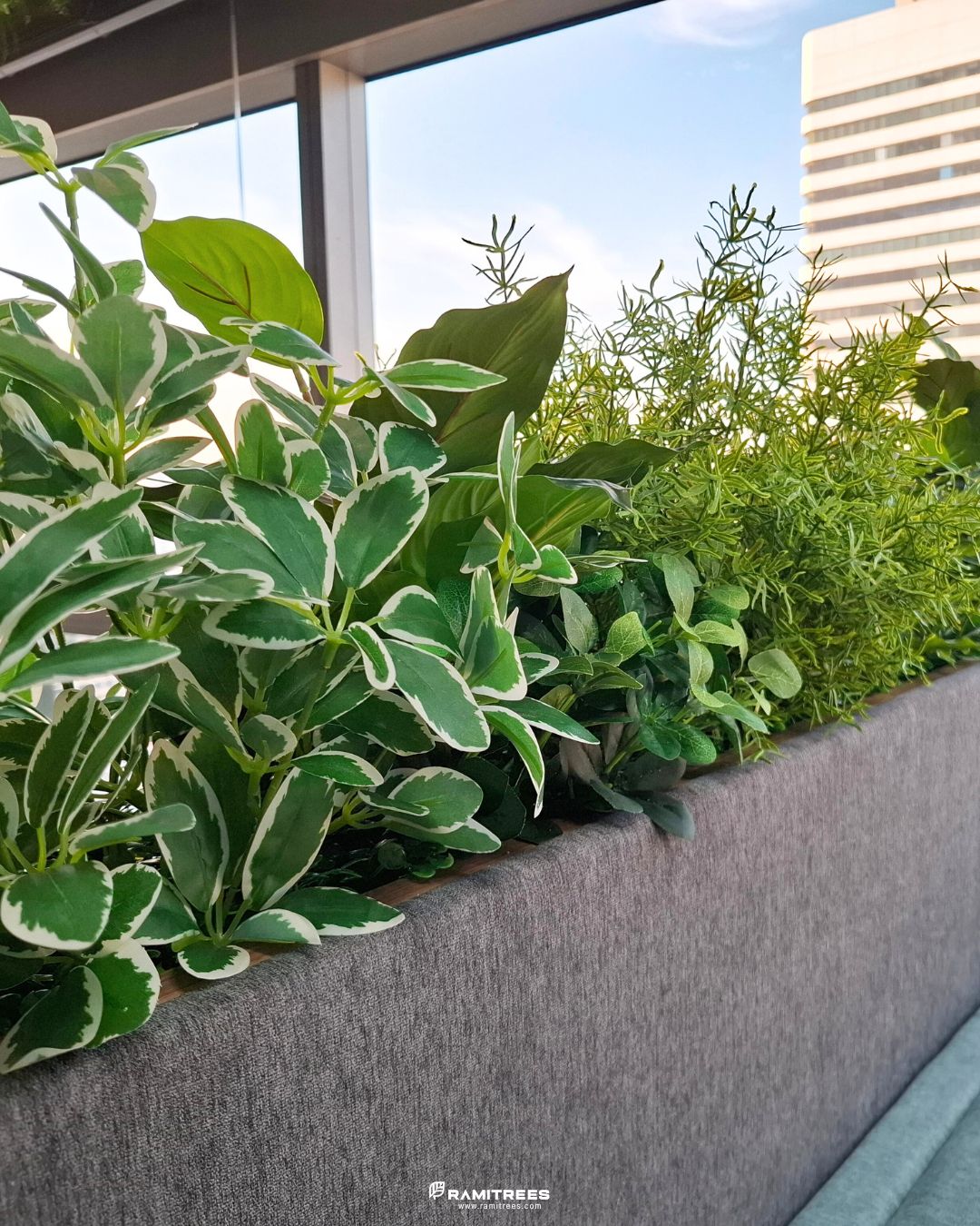 รีวิวผลงานติดตั้งสวนในรางและสวนแขวนต้นไม้ประดิษฐ์ Planter Box, Hanging Garden (5)