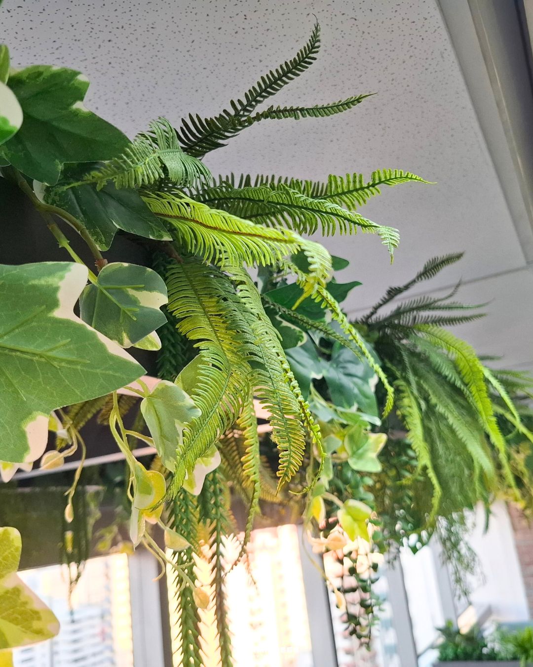 รีวิวผลงานติดตั้งสวนในรางและสวนแขวนต้นไม้ประดิษฐ์ Planter Box, Hanging Garden (7)