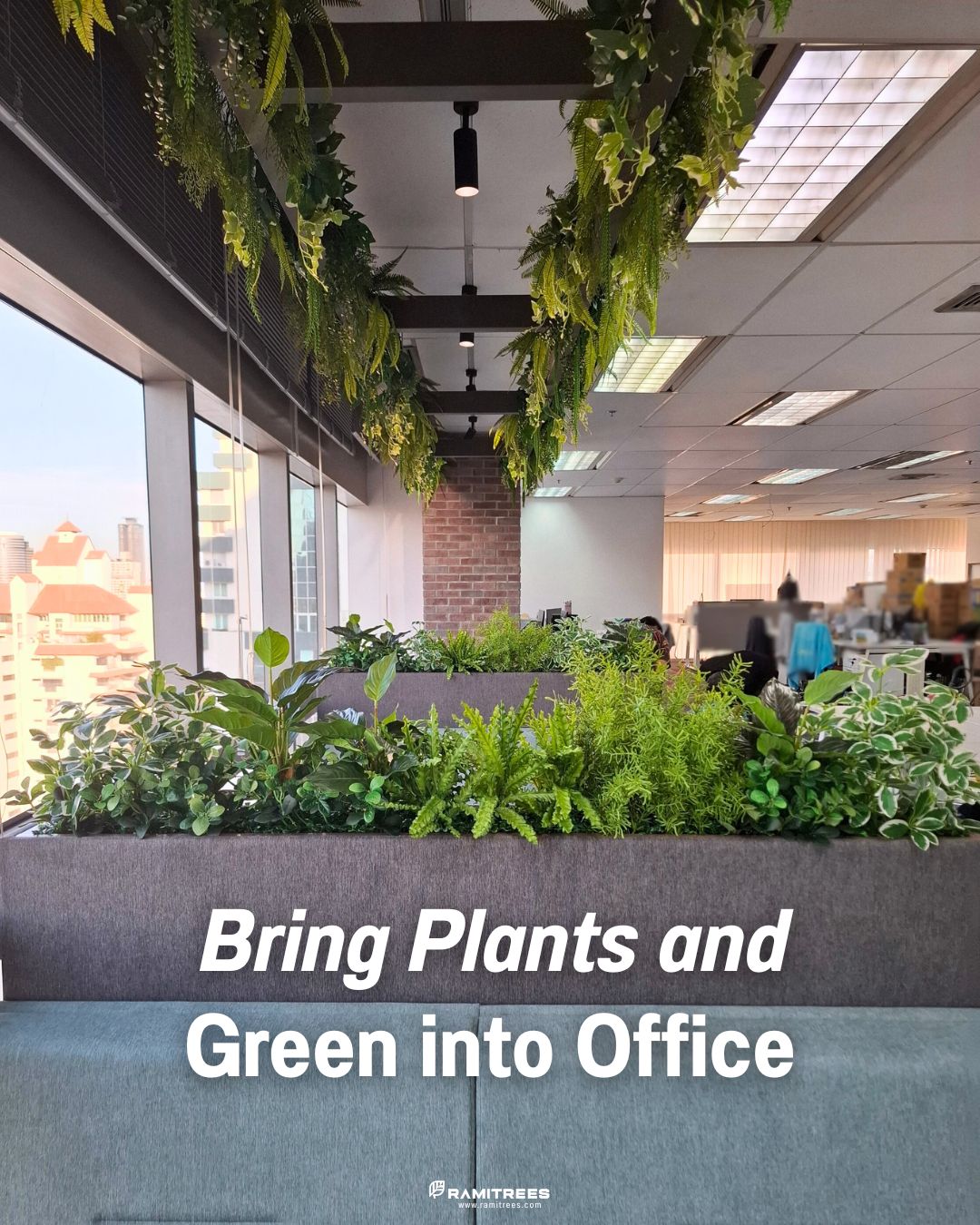 รีวิวผลงานติดตั้งสวนในรางและสวนแขวนต้นไม้ประดิษฐ์ Planter Box, Hanging Garden