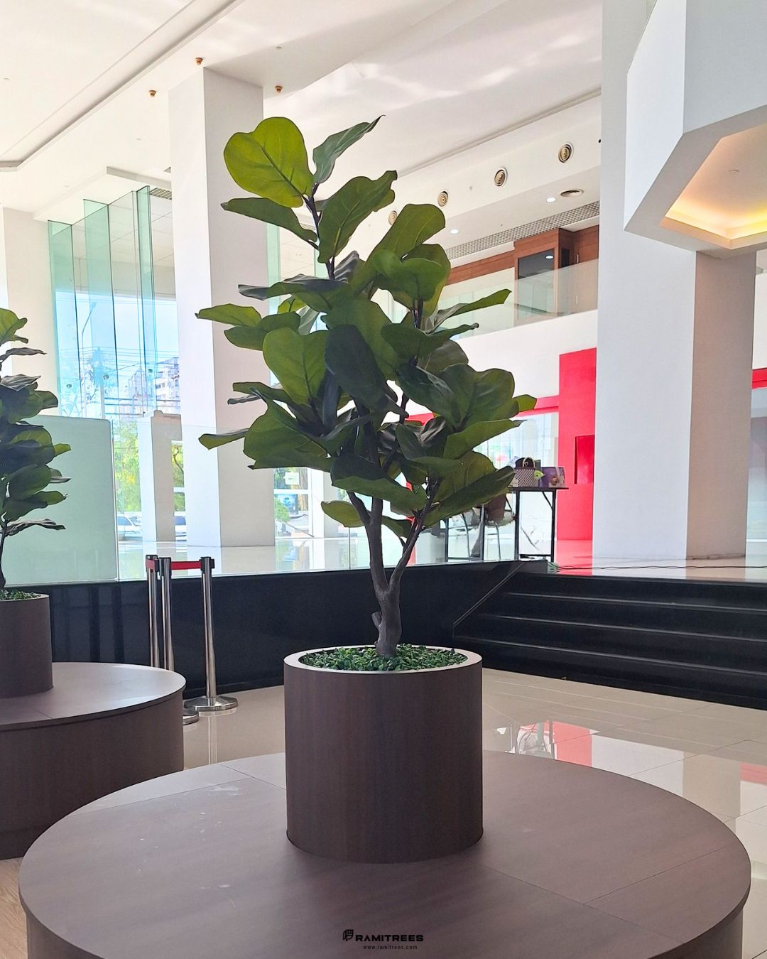 Artificial Plant ต้นไทรใบสัก ต้นไม้ประดิษฐ์ (3)