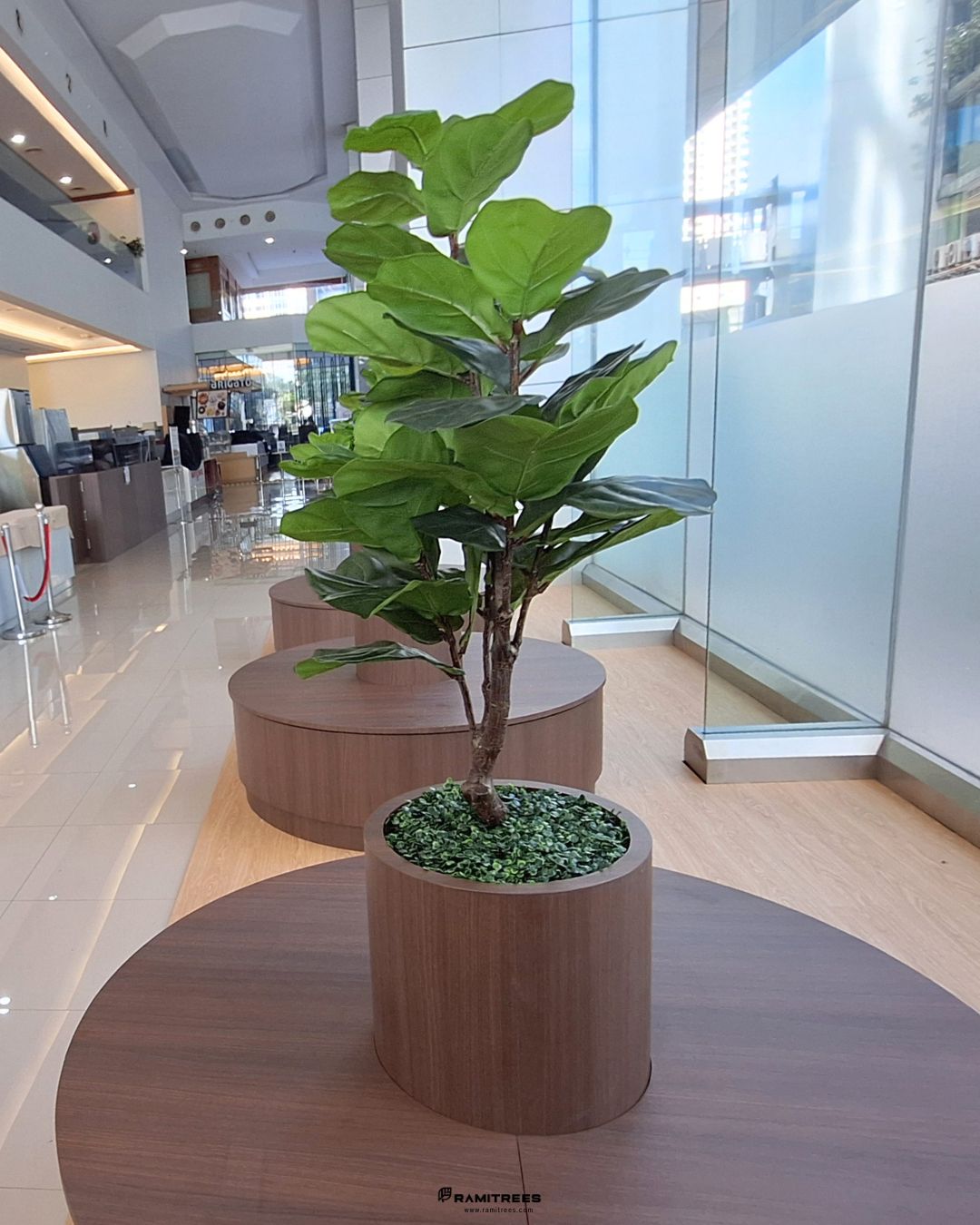 Artificial Plant ต้นไทรใบสัก ต้นไม้ประดิษฐ์ (4)