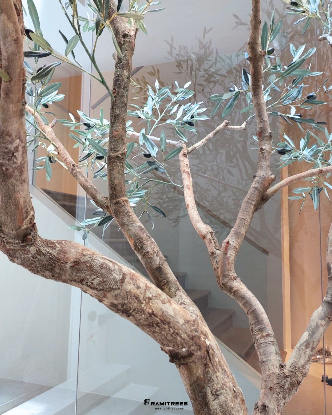 ต้นมะกอกโอลีฟประดิษฐ์ Artificial Olive tree (3)