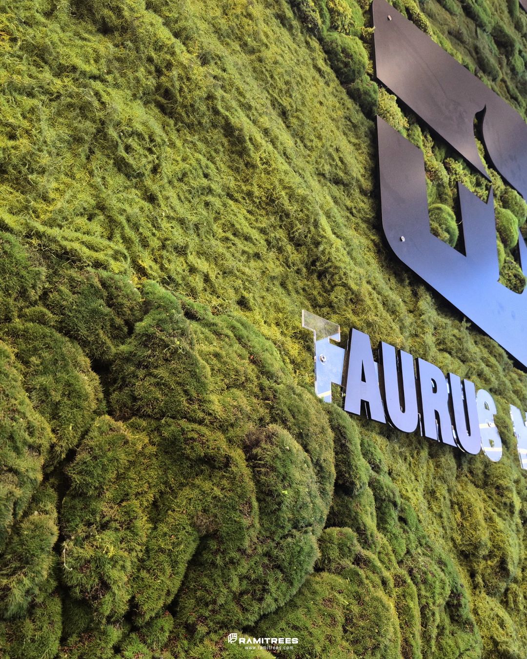 สวนแนวตั้งผนังมอสประดิษฐ์ Artificial Moss Wall (3)