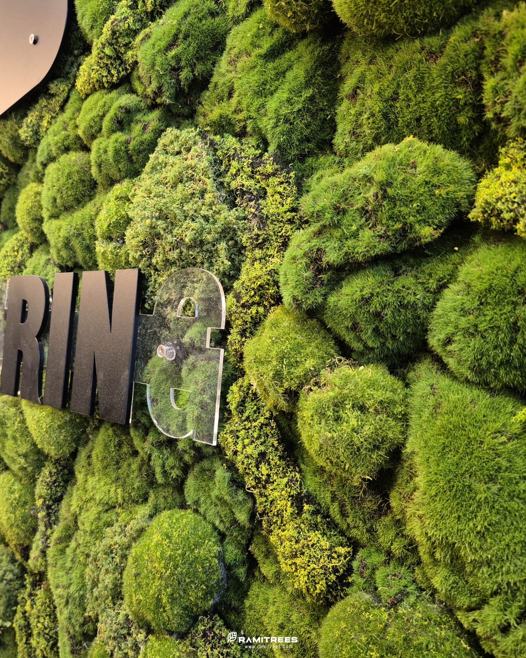 สวนแนวตั้งผนังมอสประดิษฐ์ Artificial Moss Wall (4)