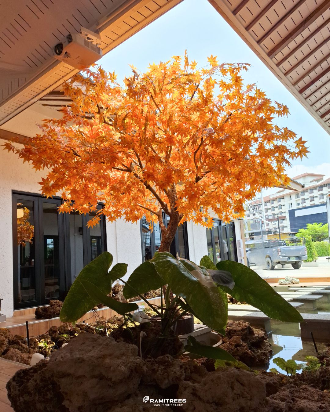 Artificial Maple Tree ต้นเมเปิ้ลปลอม ตกแต่งร้านออนเซ็นสไตล์ญี่ปุ่่น (3)