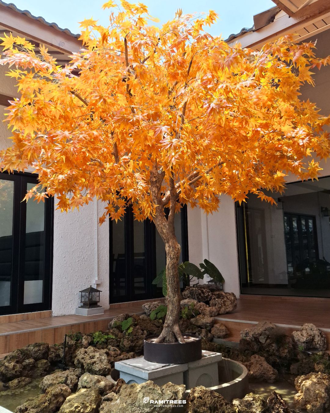 Artificial Maple Tree ต้นเมเปิ้ลปลอม ตกแต่งร้านออนเซ็นสไตล์ญี่ปุ่่น (4)