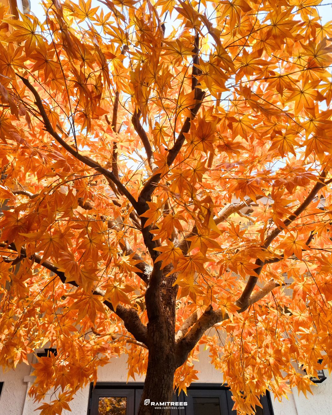 Artificial Maple Tree ต้นเมเปิ้ลปลอม ตกแต่งร้านออนเซ็นสไตล์ญี่ปุ่่น (6)