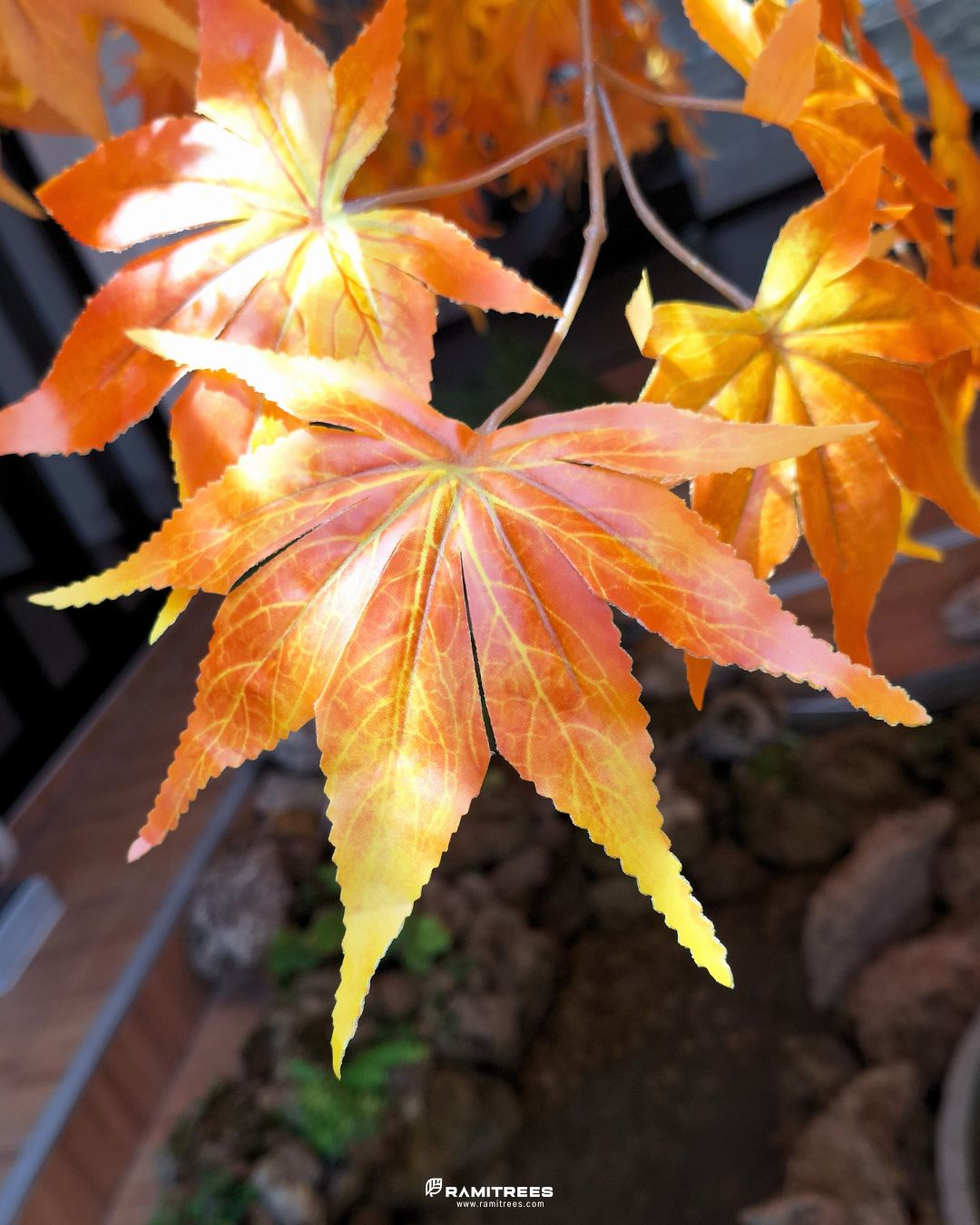 Artificial Maple Tree ต้นเมเปิ้ลปลอม ตกแต่งร้านออนเซ็นสไตล์ญี่ปุ่่น (7)