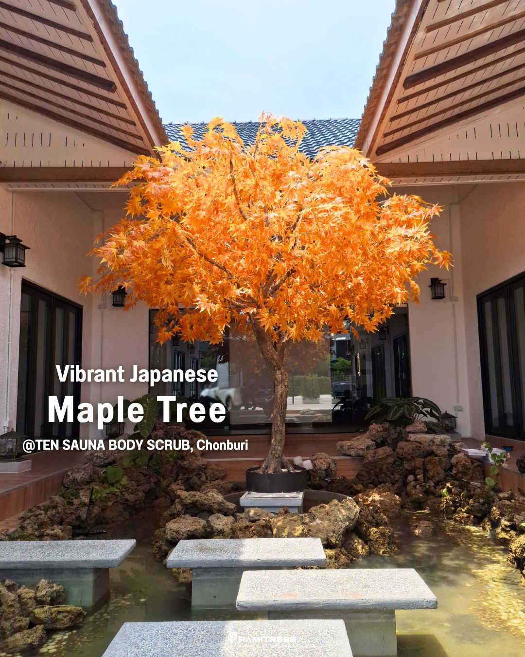 Artificial Maple Tree ต้นเมเปิ้ลปลอม ตกแต่งร้านออนเซ็นสไตล์ญี่ปุ่่น