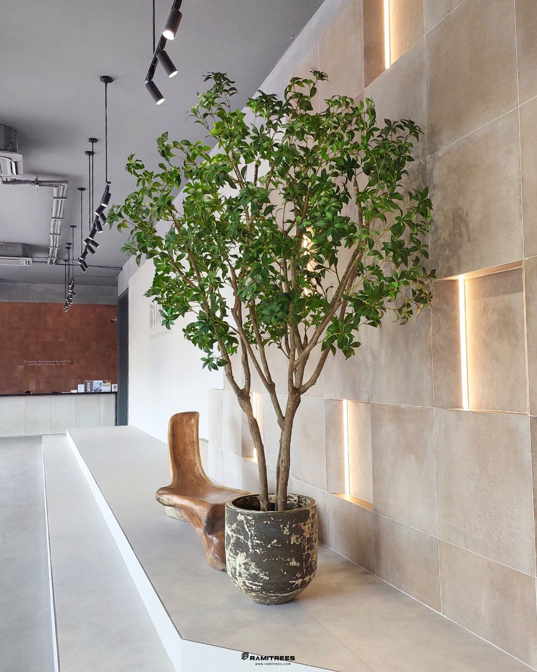 ต้นไม้ประดิษฐ์ขนาดใหญ่และสวนบอนไซ Indoor Landscape (3)