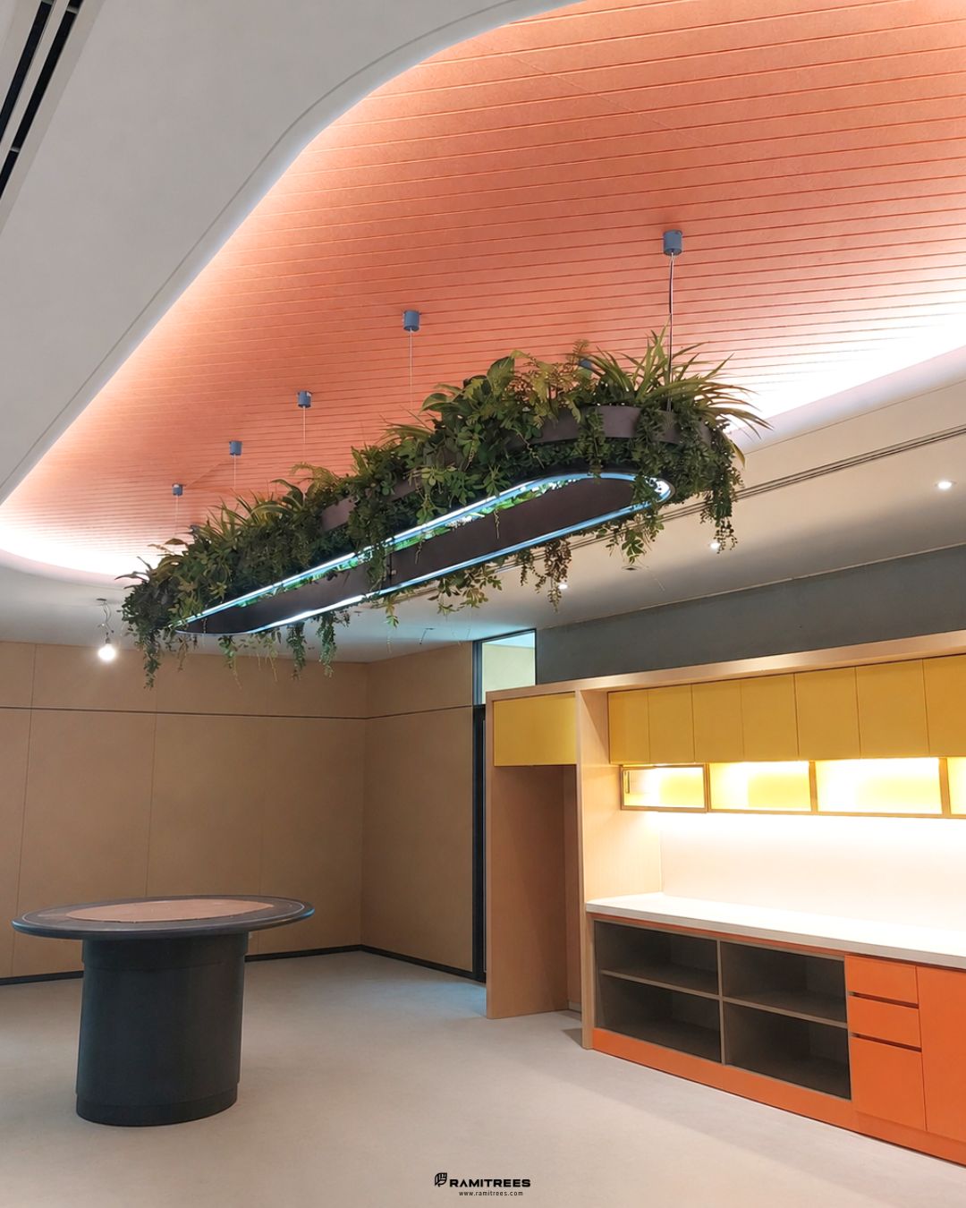 สวนในรางระย้าพร้อมจัดวางต้นไม้กระถาง Dusit Central Park , Hanging Garden, Planter Box (2)