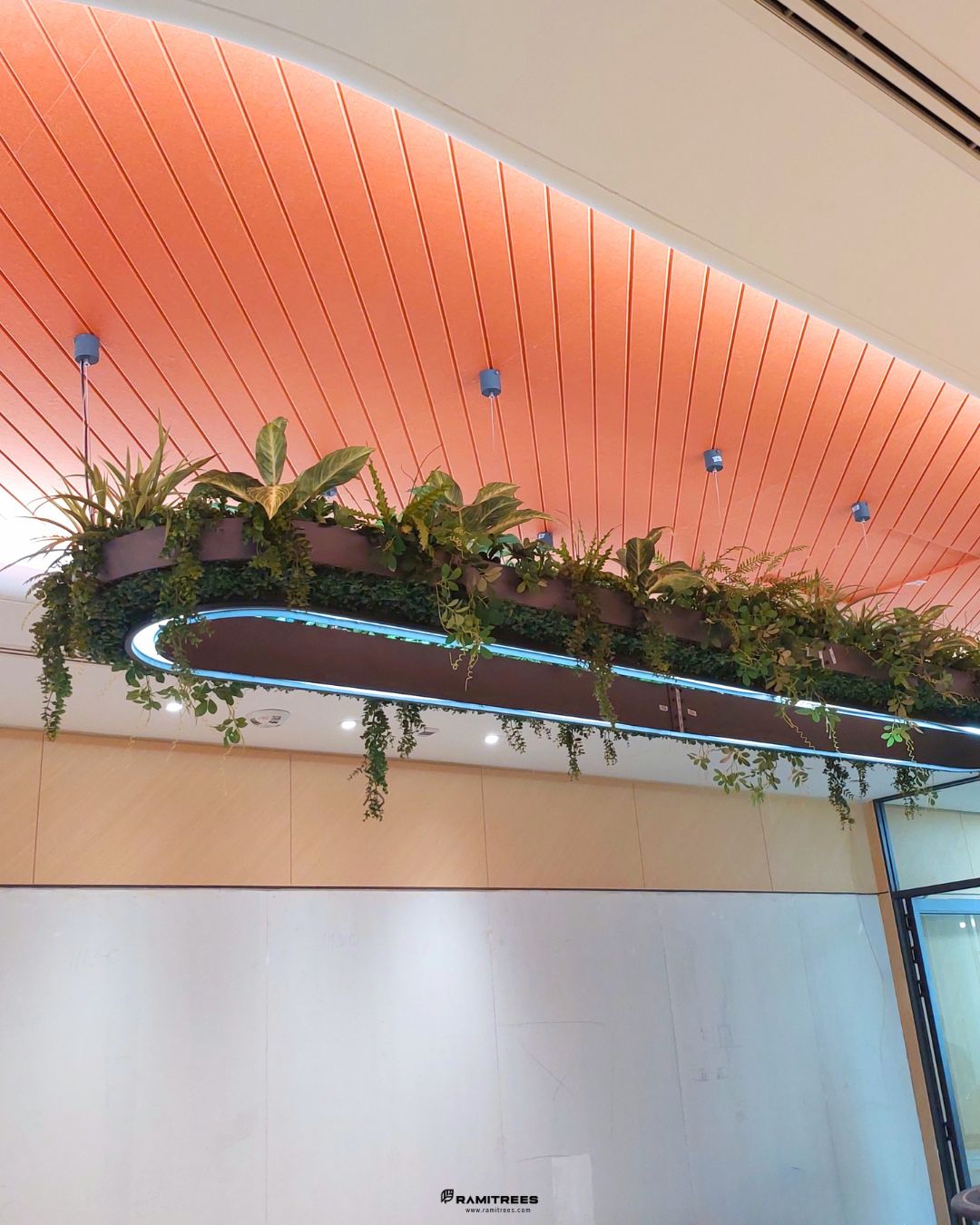 สวนในรางระย้าพร้อมจัดวางต้นไม้กระถาง Dusit Central Park , Hanging Garden, Planter Box (3)