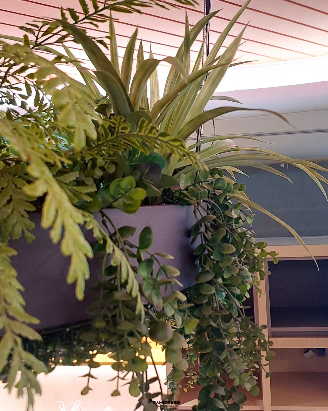 สวนในรางระย้าพร้อมจัดวางต้นไม้กระถาง Dusit Central Park , Hanging Garden, Planter Box (7)