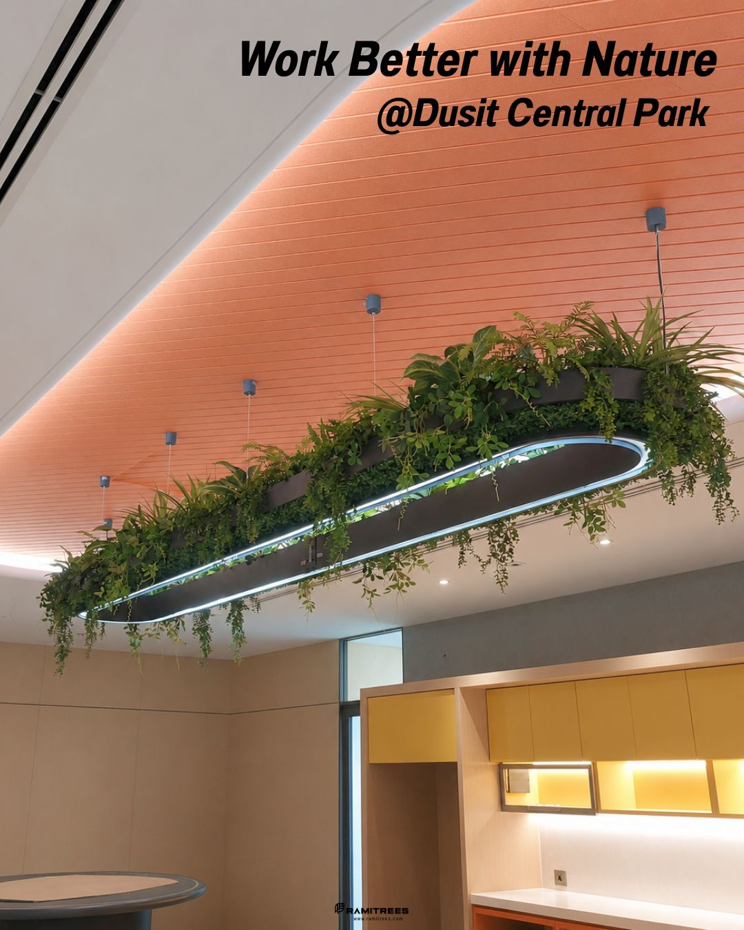 สวนในรางระย้าพร้อมจัดวางต้นไม้กระถาง Dusit Central Park , Hanging Garden, Planter Box