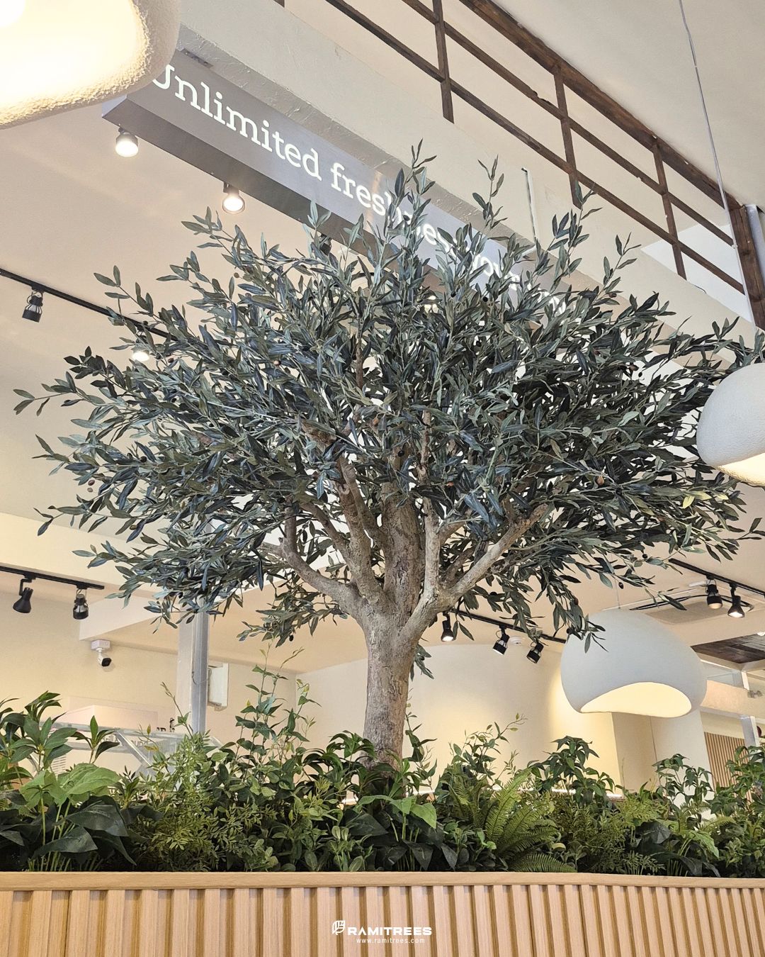 Artificial Olive Tree, Planter Box ต้นโอลีฟประดิษฐ์ขนาดใหญ่ พร้อมจัดสวนต้นไม้ปลอม (3)
