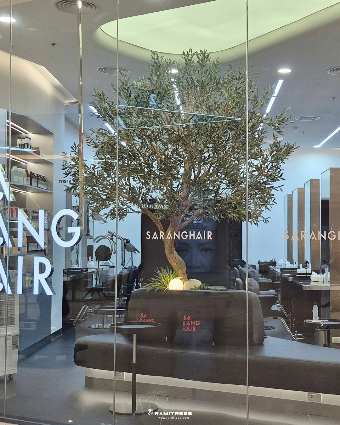 Artificial Olive Tree ต้นมะกอกโอลีฟ (2)