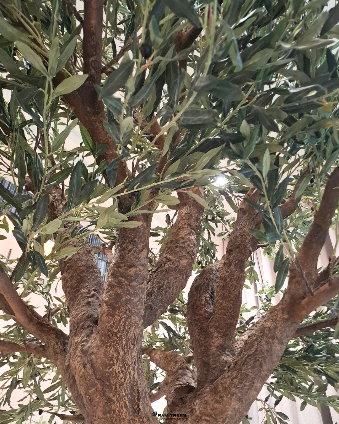 Artificial Olive Tree ต้นมะกอกโอลีฟ (5)