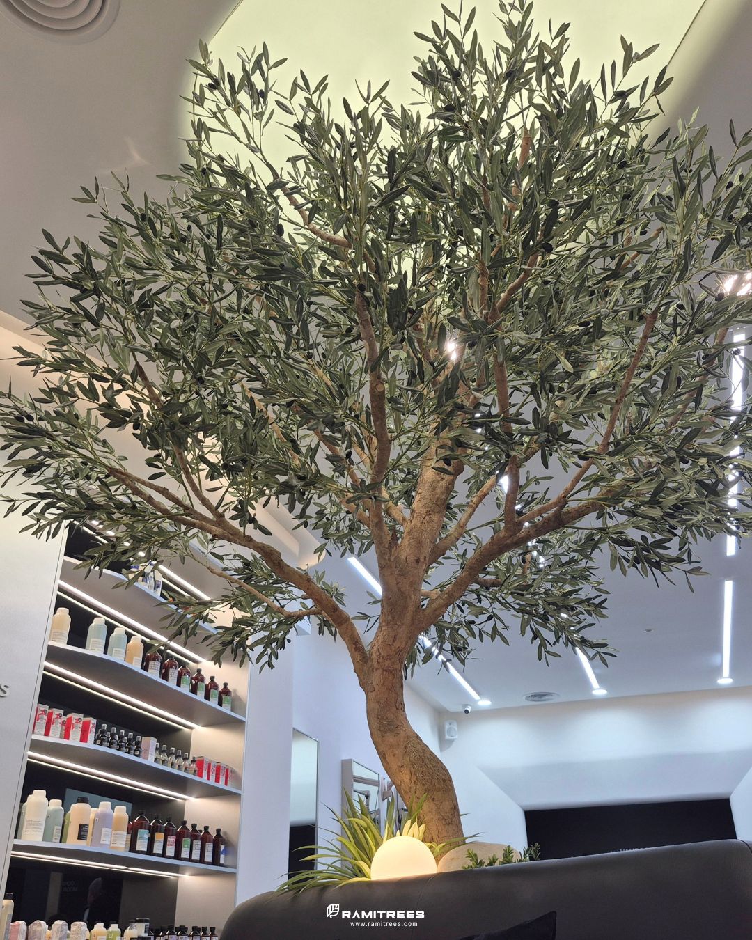 Artificial Olive Tree ต้นมะกอกโอลีฟ (6)