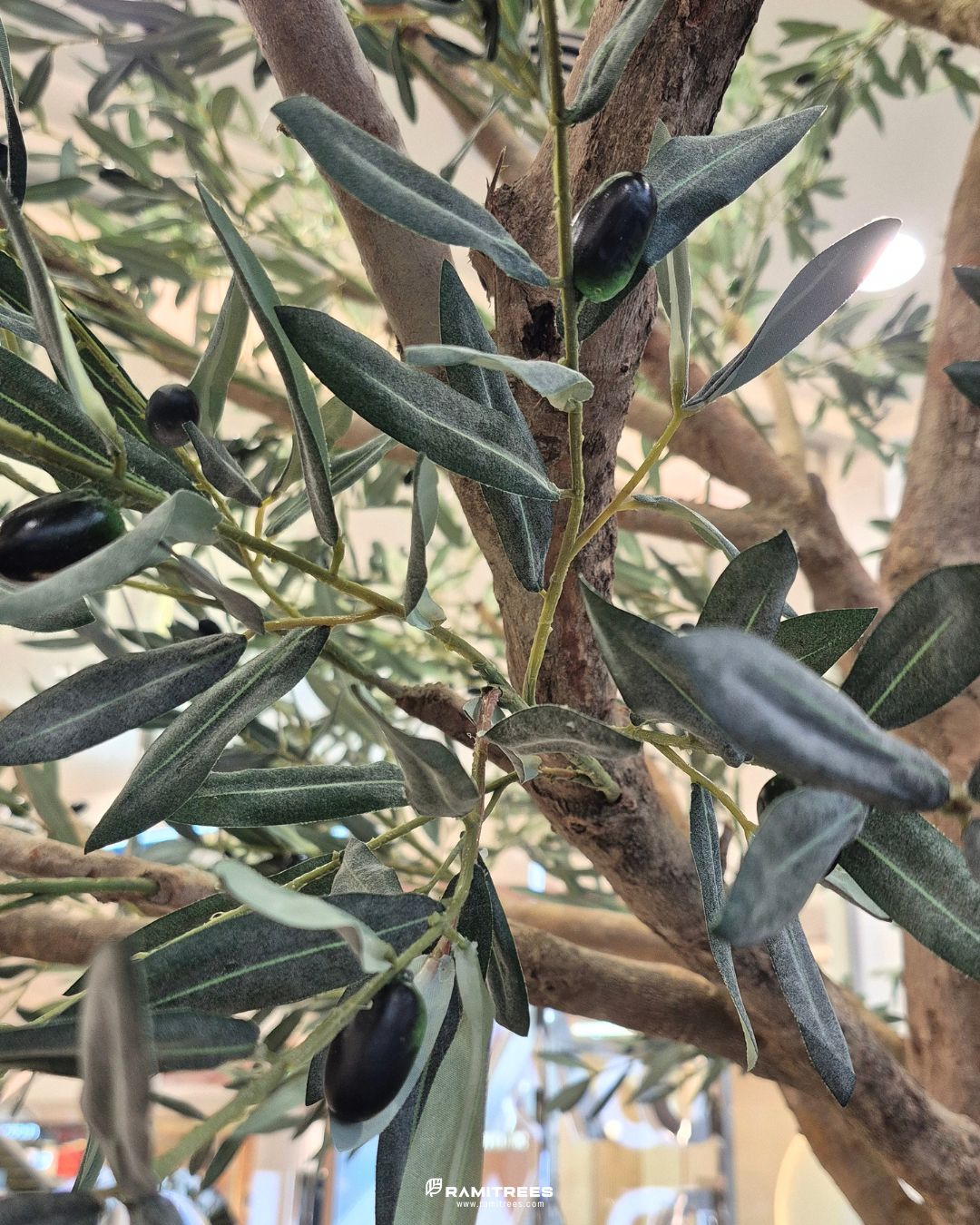 Artificial Olive Tree ต้นมะกอกโอลีฟ (7)