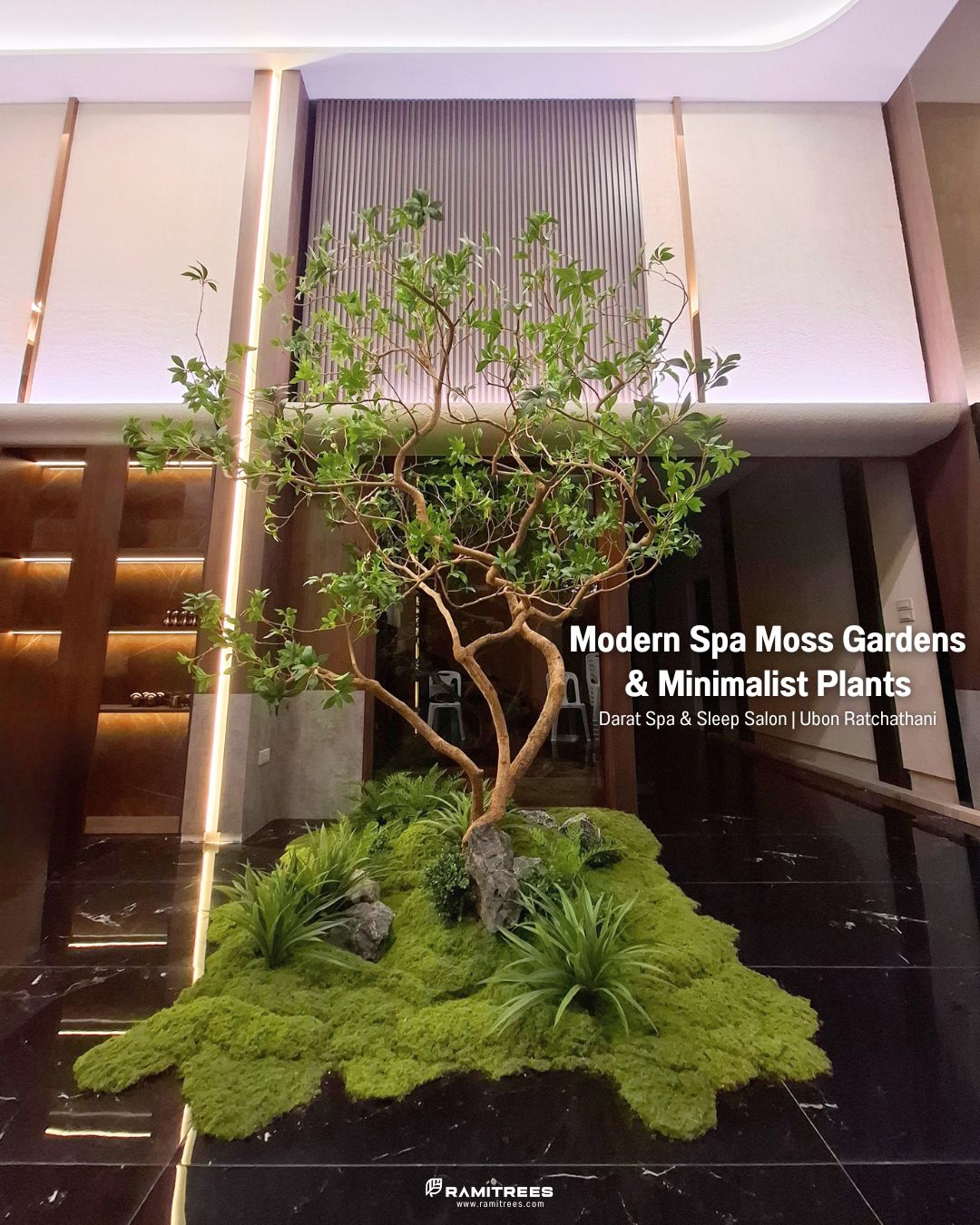 Moss Garden จัดสวนมอสส์สไตล์มินิมอล