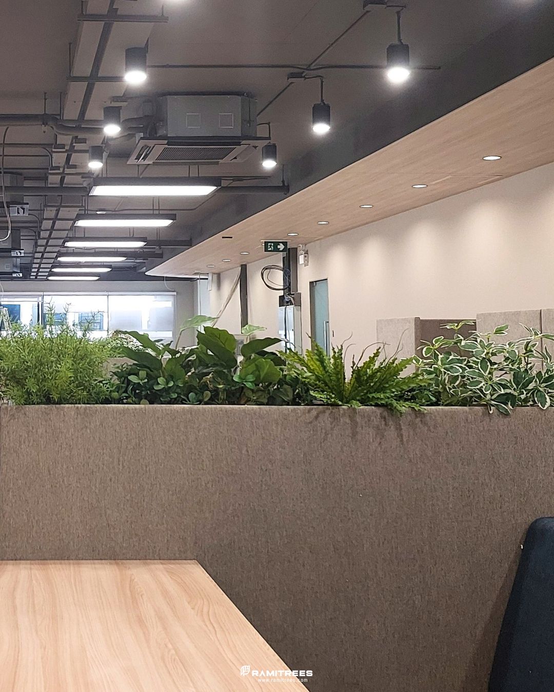 Planter Box สวนประดิษฐ์ในราง (1)
