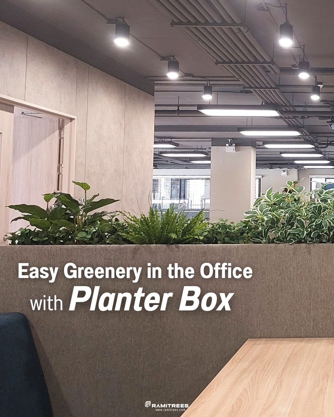 Planter Box สวนประดิษฐ์ในราง