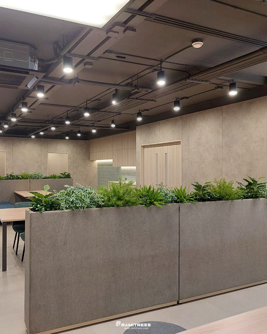 Planter Box สวนประดิษฐ์ในราง (3)