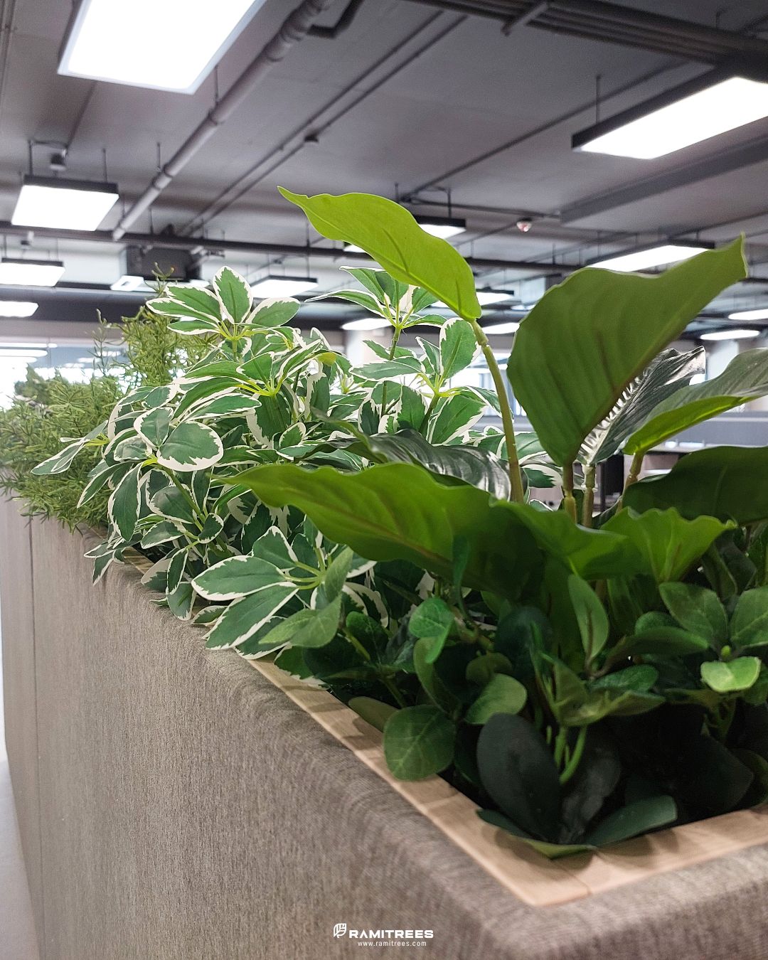 Planter Box สวนประดิษฐ์ในราง (4)