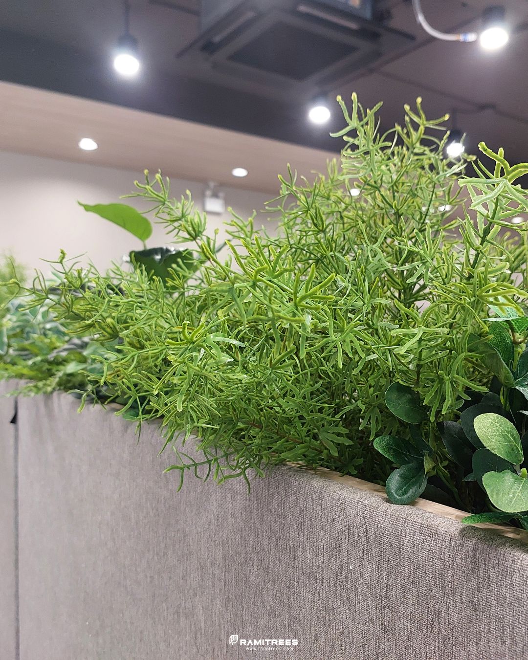 Planter Box สวนประดิษฐ์ในราง (6)
