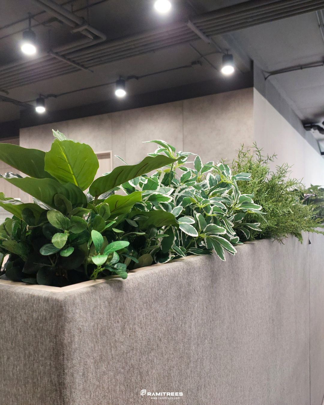 Planter Box สวนประดิษฐ์ในราง (7)