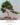 ต้นบอนไซประดิษฐ์ Artificial Bonsai Tree