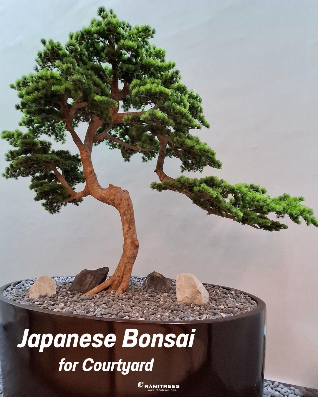 ต้นบอนไซประดิษฐ์ Artificial Bonsai Tree