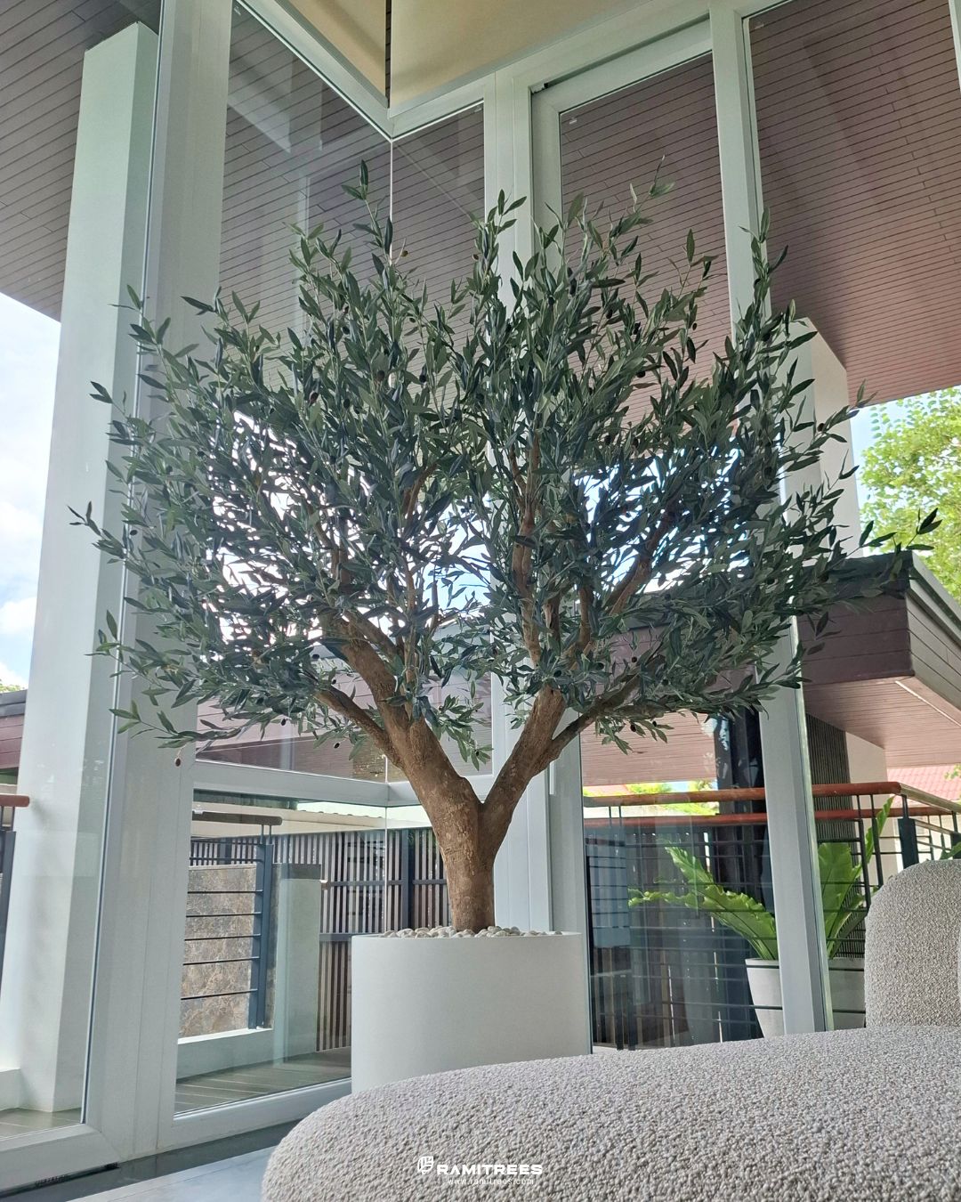 Artificial Olive Tree ต้นมะกอกโอลีฟประดิษฐ์ กระถางไฟเบอร์กลาส (2)