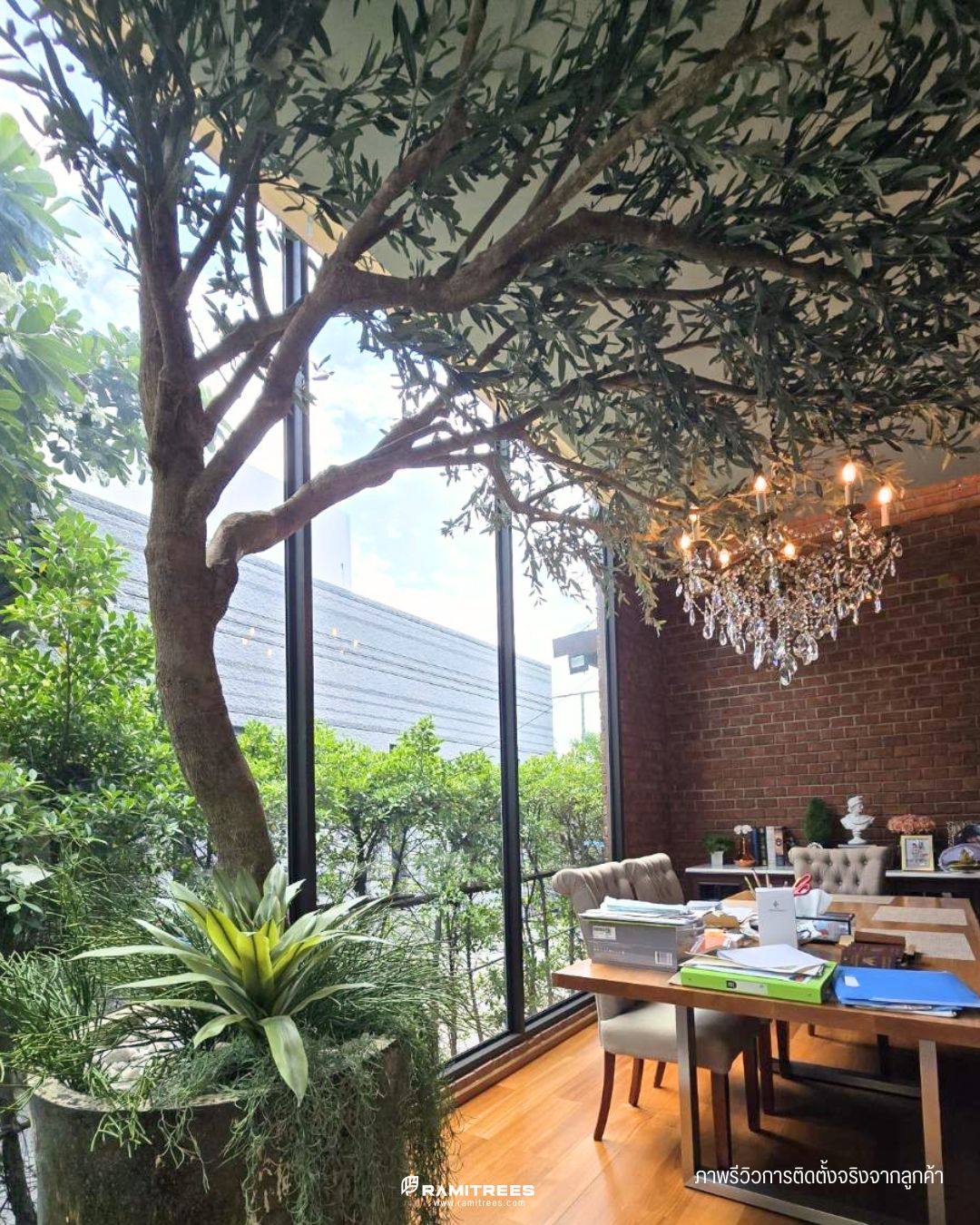Artificial Olive Tree ต้นมะกอกโอลีฟประดิษฐ์ดีไซน์ทรงซุ้มโค้ง สูง 3.5 ม (3)