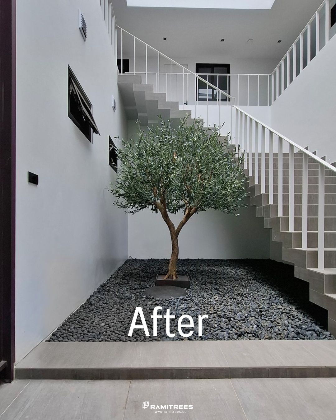 Artificial Olive Tree ต้นมะกอกโอลีฟประดิษฐ์สูง 2.5 เมตร (3)