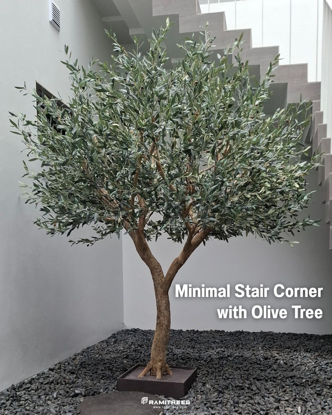 Artificial Olive Tree ต้นมะกอกโอลีฟประดิษฐ์สูง 2.5 เมตร